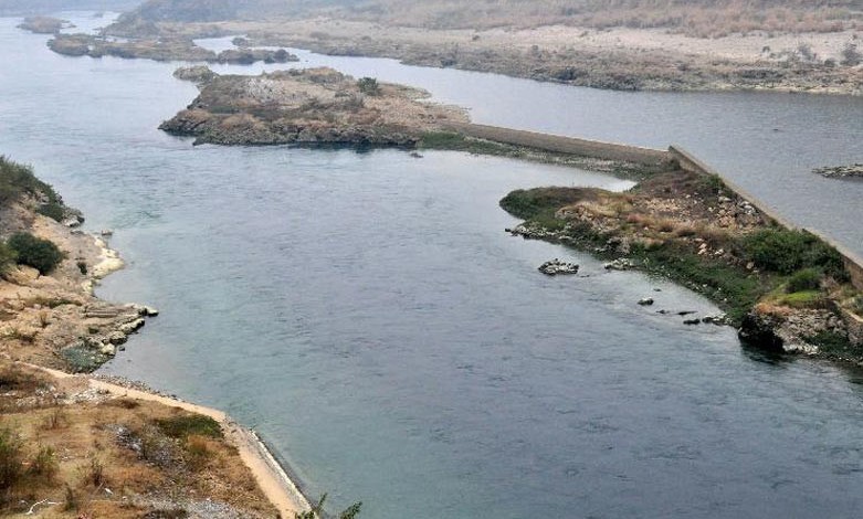 �������Y