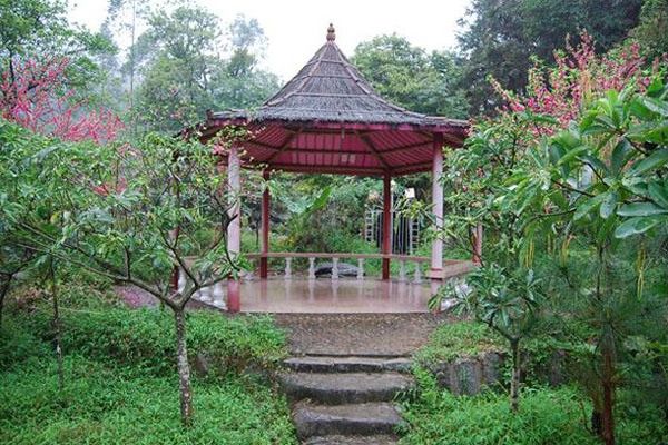 �������Y