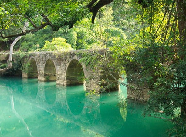 �������Y