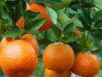 �������Y