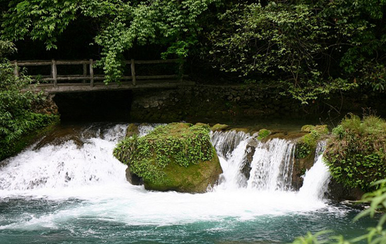 �������Y