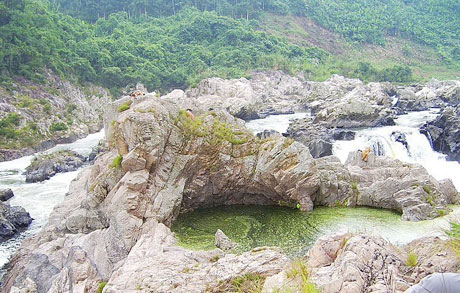 �������Y