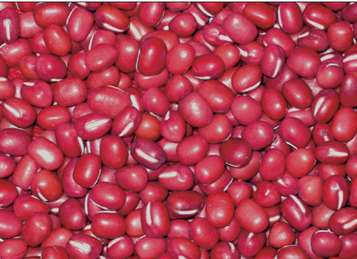 �������Y