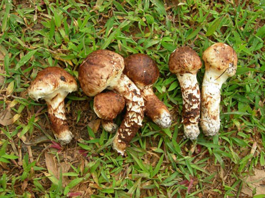 �������Y