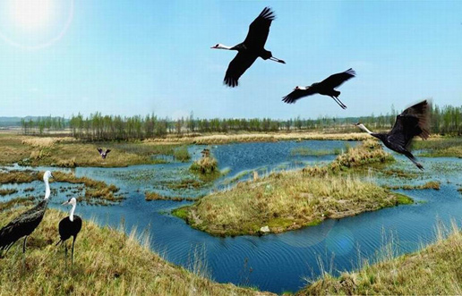 �������Y