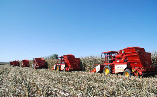 �������Y