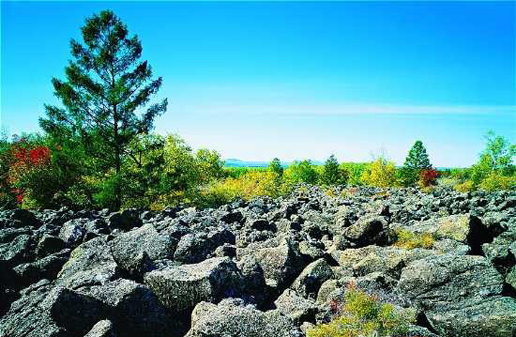 �������Y