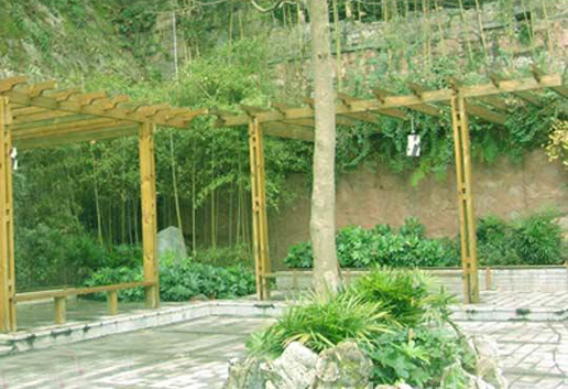 �������Y