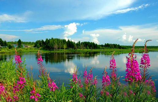 �������Y