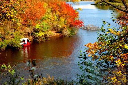 �������Y