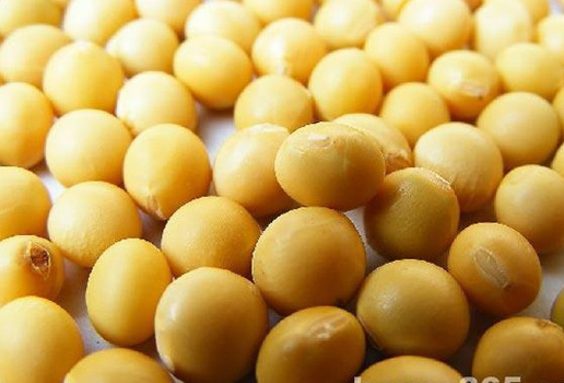 �������Y