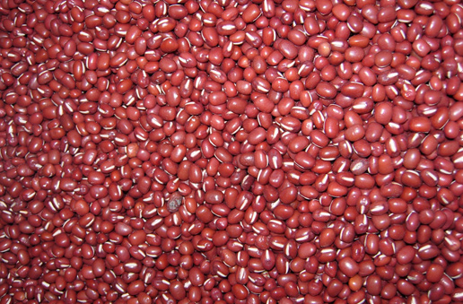 �������Y