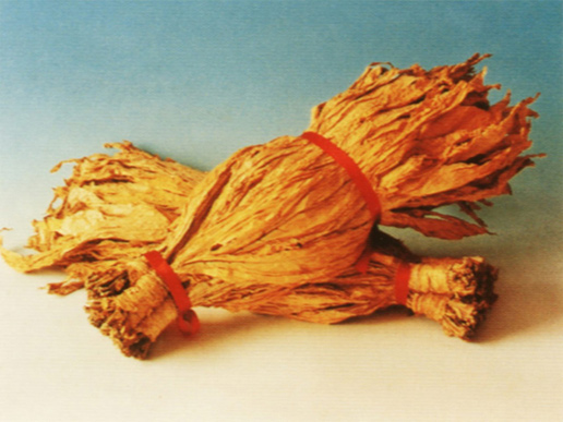 �������Y