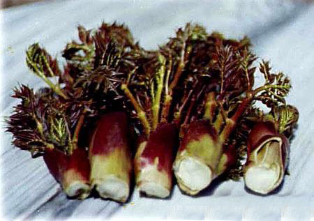 �������Y