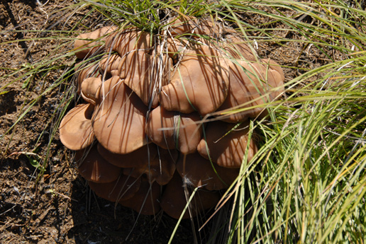 �������Y