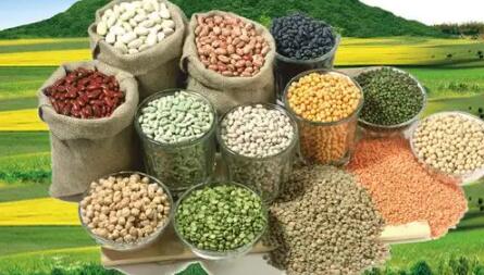 �������Y