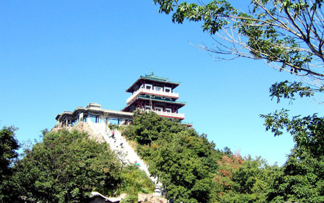 �������Y