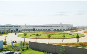 �������Y