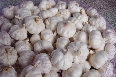 �������Y