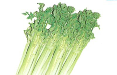 �������Y