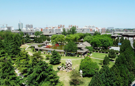 �������Y