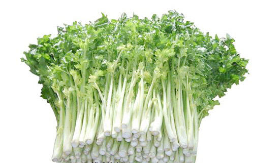 �������Y