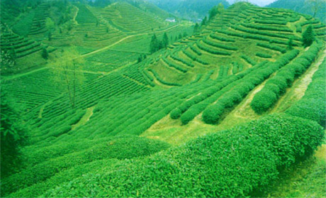 �������Y