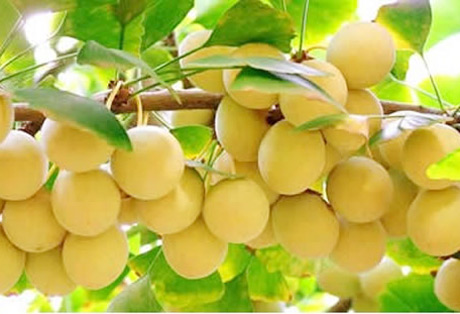 �������Y