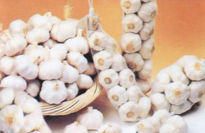 �������Y