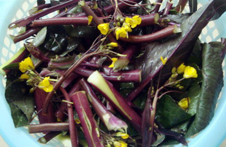 �������Y