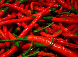 �������Y