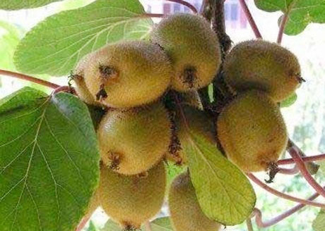 �������Y