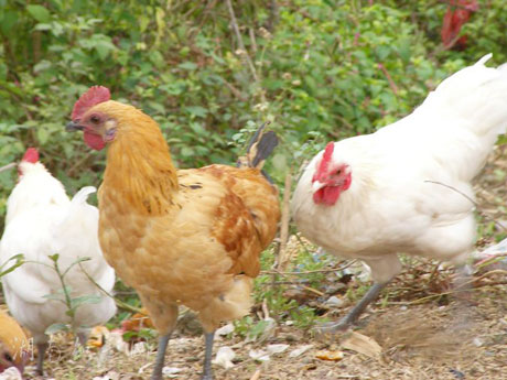 �������Y