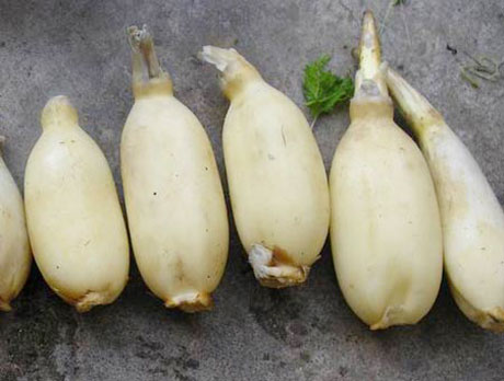 �������Y