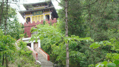 �������Y