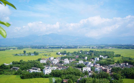 �������Y