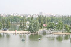 �������Y