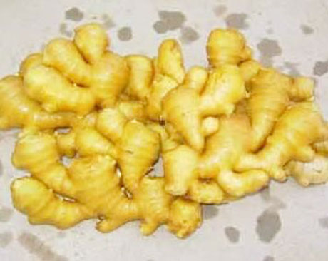 �������Y