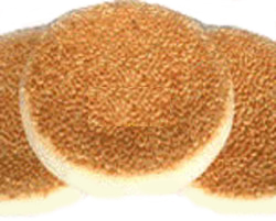 �������Y