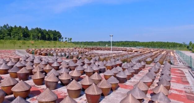 �������Y