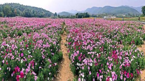 �������Y