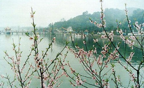 �������Y