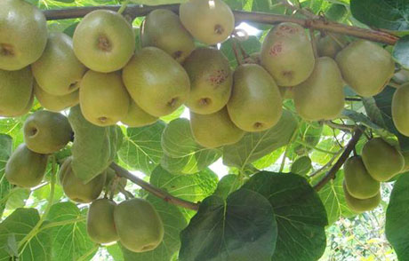 �������Y