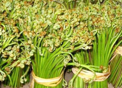 �������Y