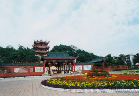 �������Y