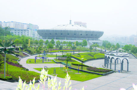 �������Y