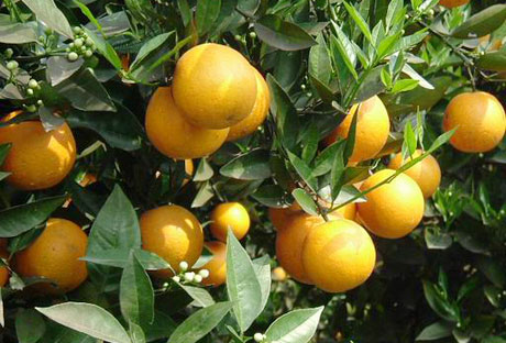 �������Y