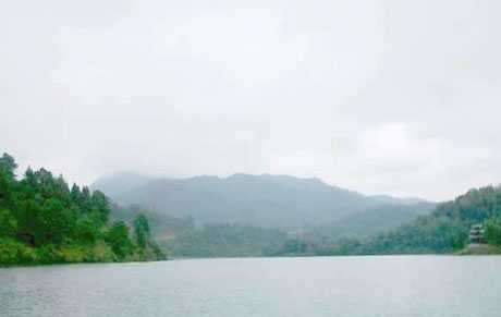 �������Y