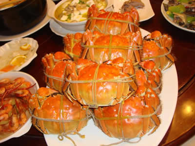 �������Y