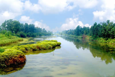 �������Y